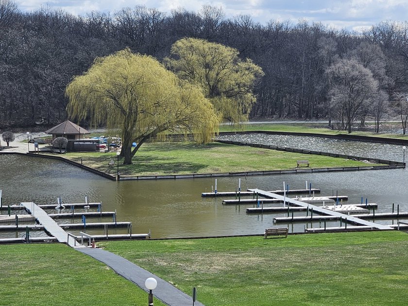 BEST BUY IN FOX LAKE - Resort Living at an Unbeatable Price Wake - photo 10