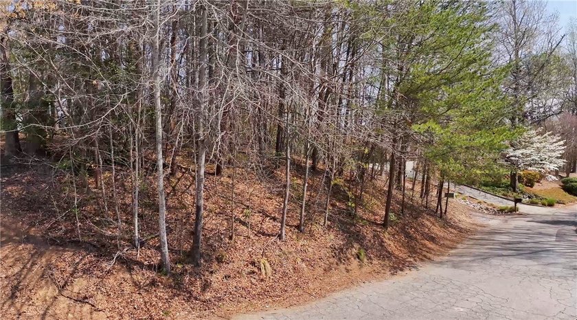 Lot with Protected Waters &amp; Covered Slip Dock SOLD - photo 5