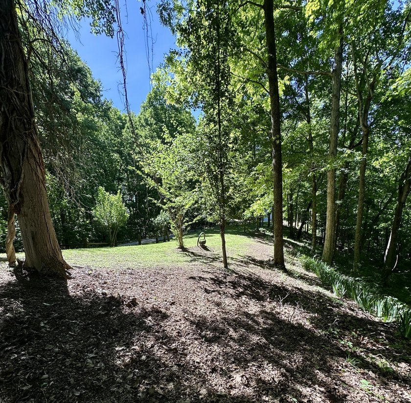 LAKE CUMBERLAND OPPORTUNITY WITH WATERFRONT PROPERTY LINE! - photo 11