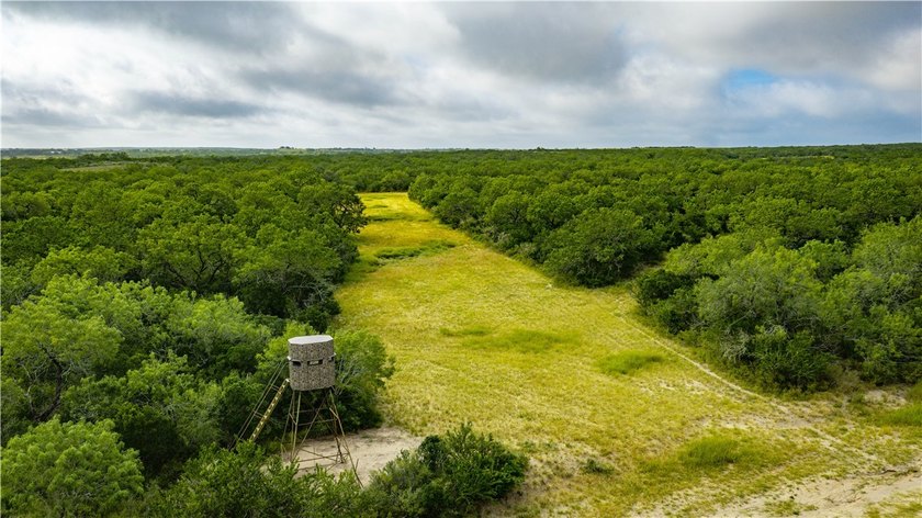 Located in Live Oak County just outside George West, Texas, off - photo 23