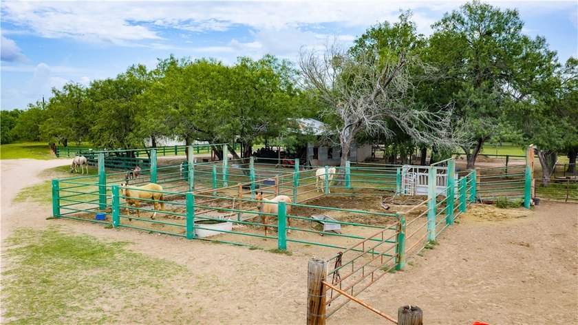Located in Live Oak County just outside George West, Texas, off - photo 27