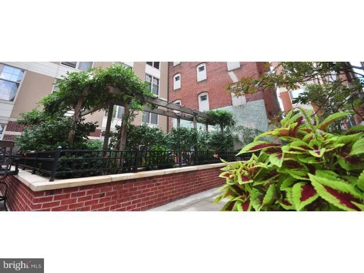 Rare 3 bedroom / 2 bedroom + den ground floor condominium rental - photo 16