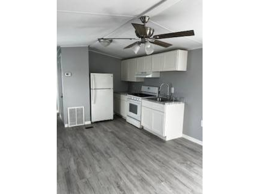 Beautiful, affordable, newly remodeled 1 bedroom/1 bath mobile - photo 3
