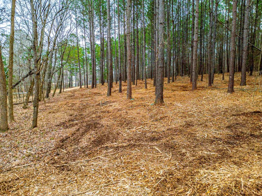 Rare opportunity to own a private, Lakefront, estate lot in - photo 11