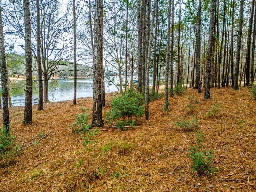 Rare opportunity to own a private, Lakefront, estate lot in - photo 12