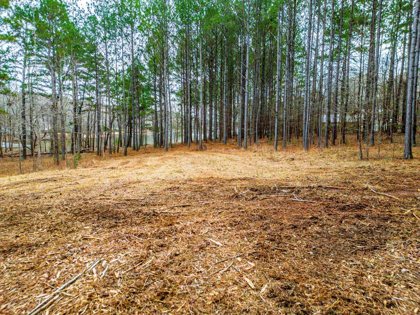 Rare opportunity to own a private, Lakefront, estate lot in - photo 19