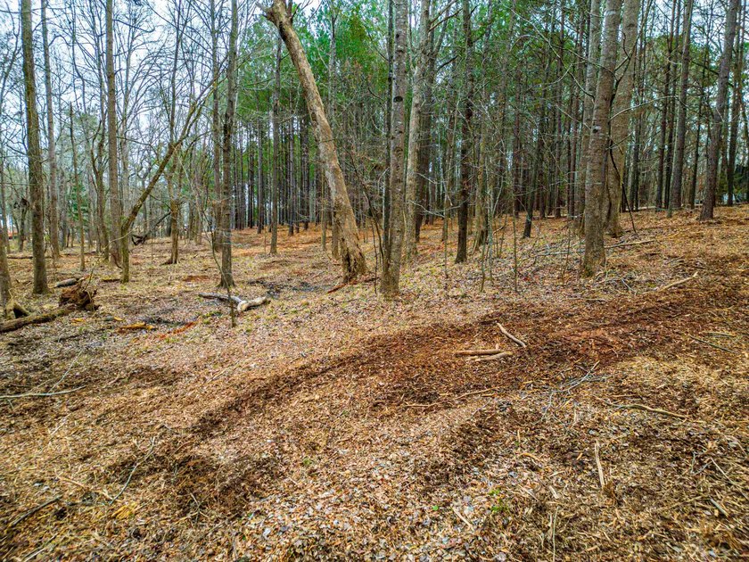 Rare opportunity to own a private, Lakefront, estate lot in - photo 25