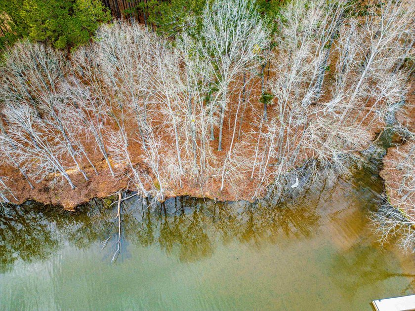 Don't miss your last opportunity to own a private, Lakefront - photo 13