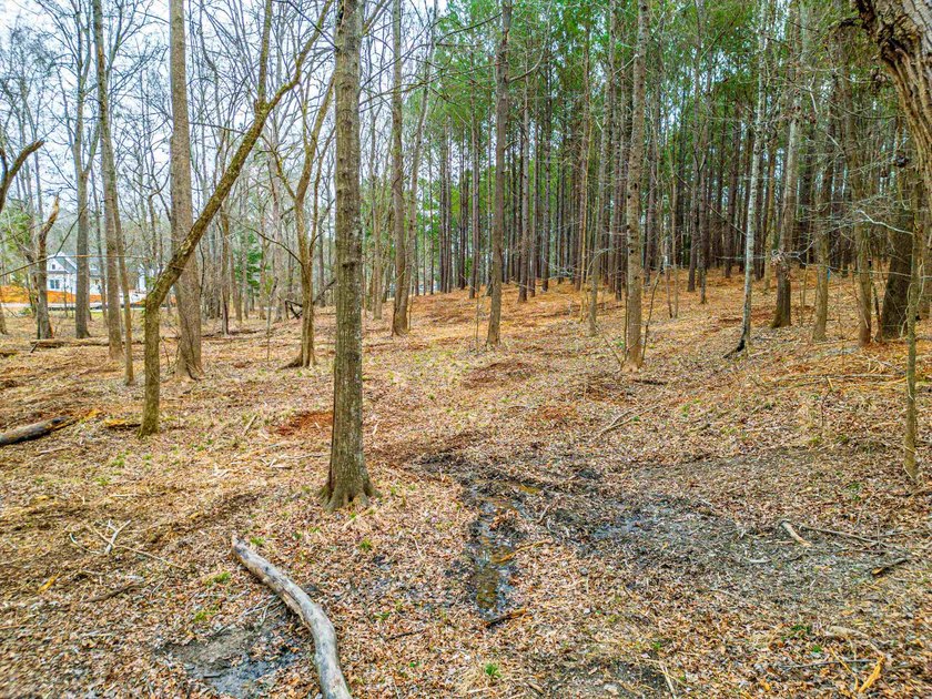 Don't miss your last opportunity to own a private, Lakefront - photo 25