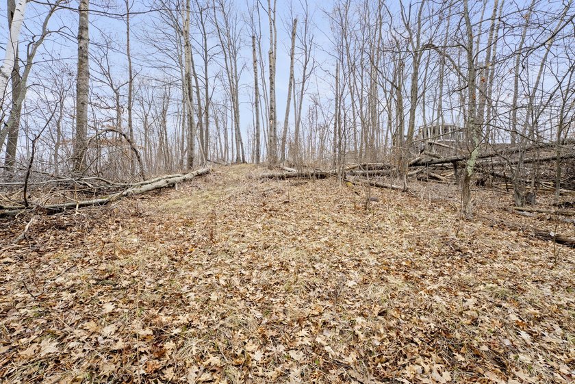 Experience a premier 2.9-acre wooded waterfront lot on Clam - photo 18
