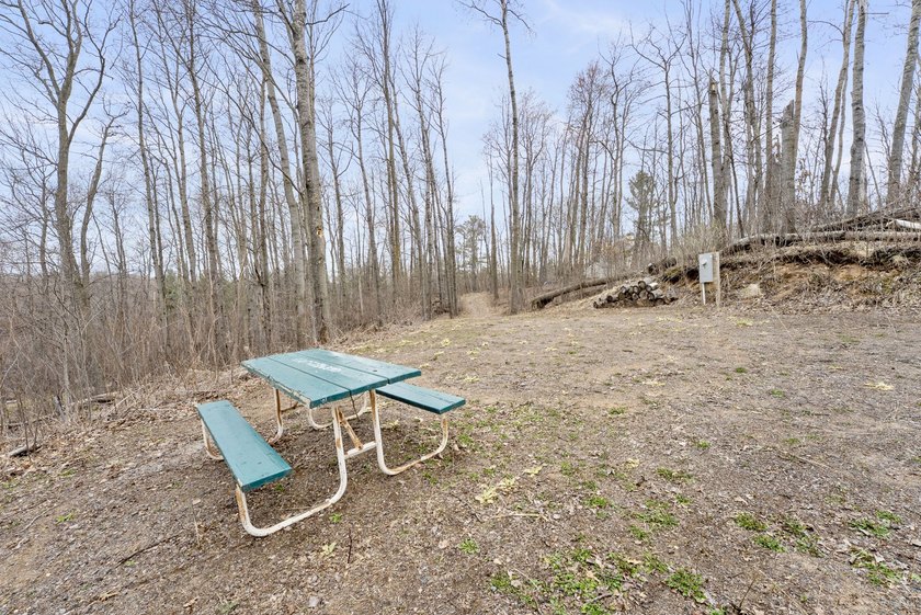 Experience a premier 2.9-acre wooded waterfront lot on Clam - photo 20