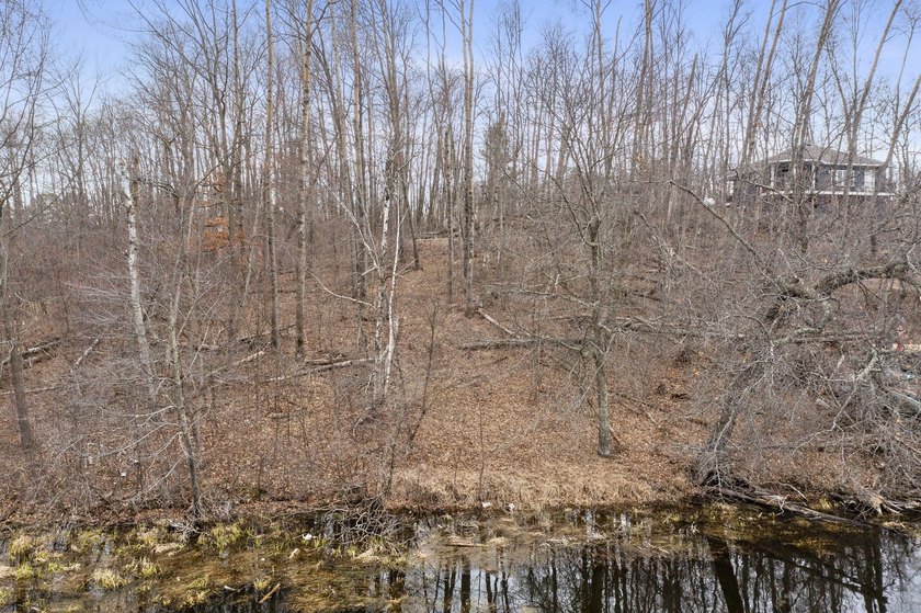 Experience a premier 2.9-acre wooded waterfront lot on Clam - photo 27