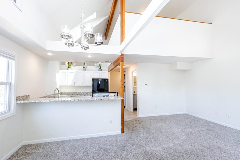 Not all condos are created equal, and unit 201 in this iconic - photo 13