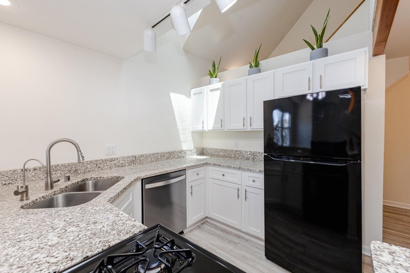 Not all condos are created equal, and unit 201 in this iconic - photo 17