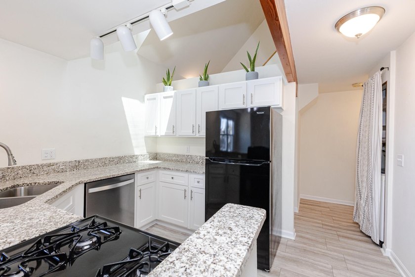 Not all condos are created equal, and unit 201 in this iconic - photo 19