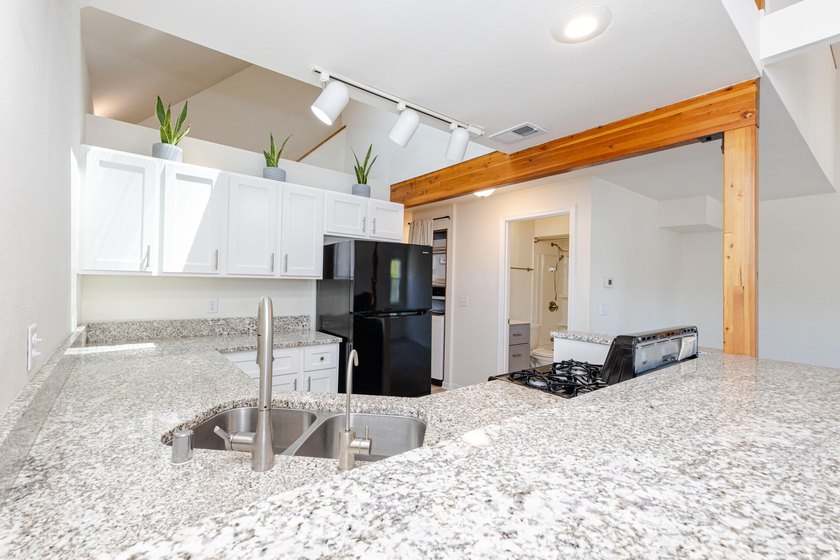 Not all condos are created equal, and unit 201 in this iconic - photo 20
