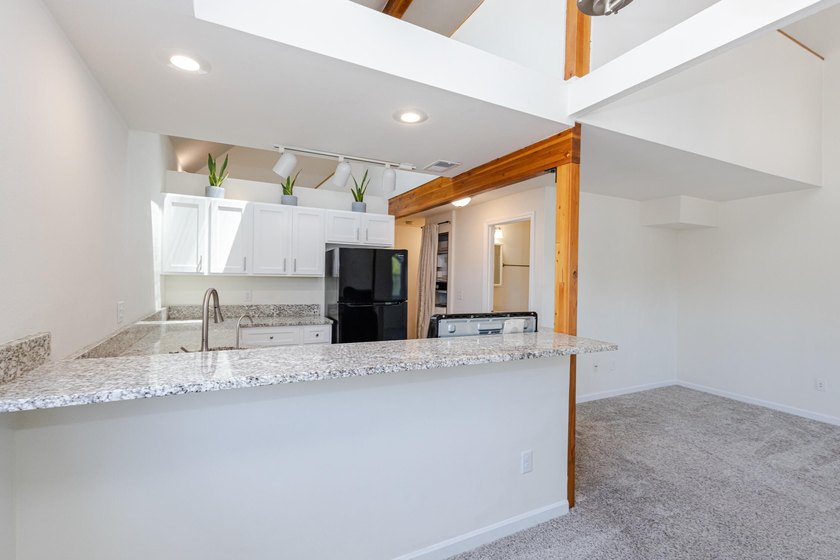 Not all condos are created equal, and unit 201 in this iconic - photo 21