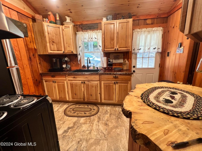 GREAT SACANDAGA LAKE ACCESS SOLD - photo 8