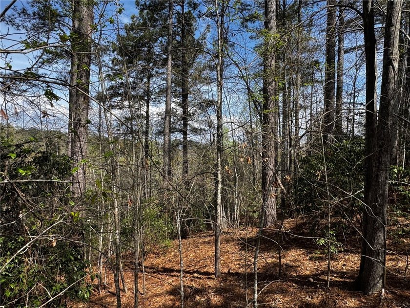 Interior gently sloping lot with potential long range views of - photo 6
