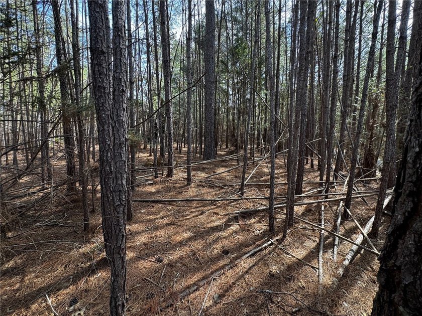 Interior gently sloping lot with potential long range views of - photo 7