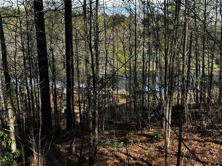 Interior gently sloping lot with potential long range views of - photo 8