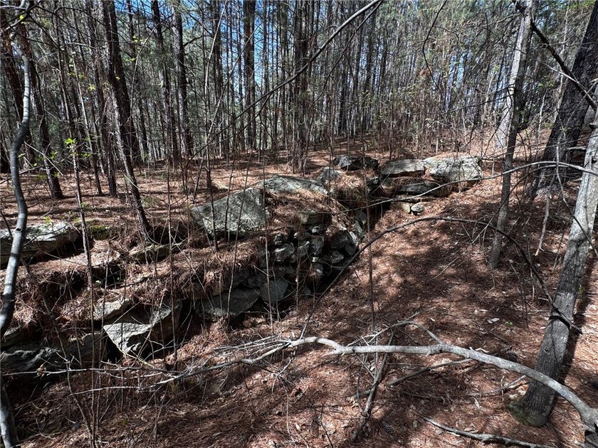 Interior gently sloping lot with potential long range views of - photo 9