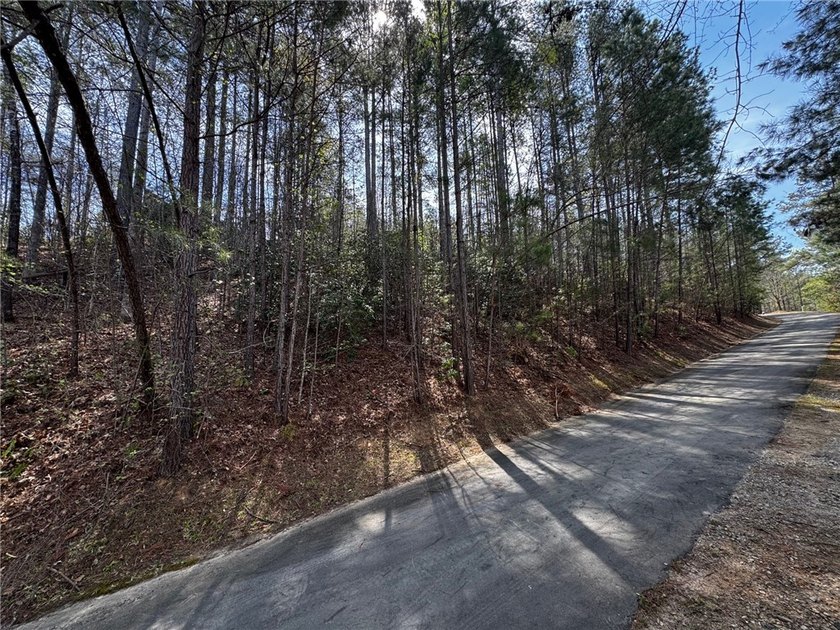 Interior gently sloping lot with potential long range views of - photo 10