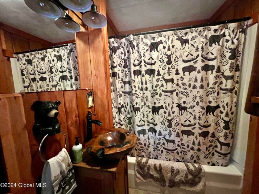 GREAT SACANDAGA LAKE ACCESS SOLD - photo 16