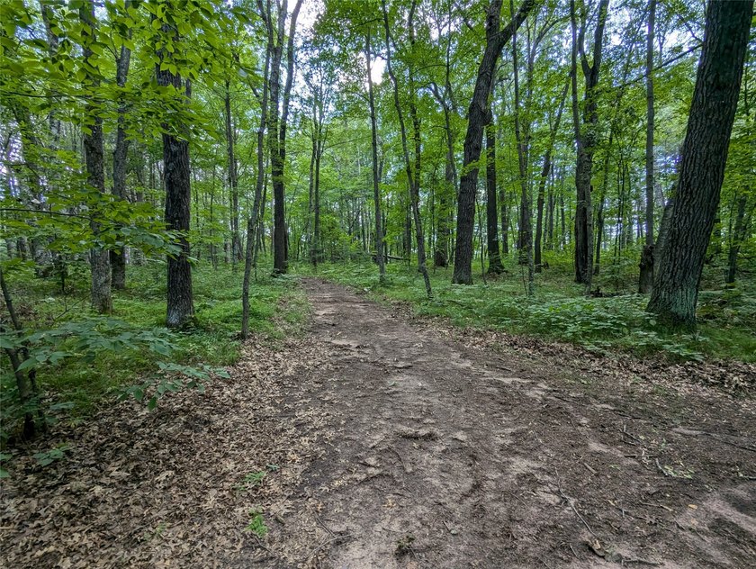 Discover your own slice of tranquility with these wooded lots - photo 3