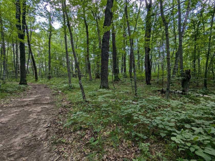 Discover your own slice of tranquility with these wooded lots - photo 4