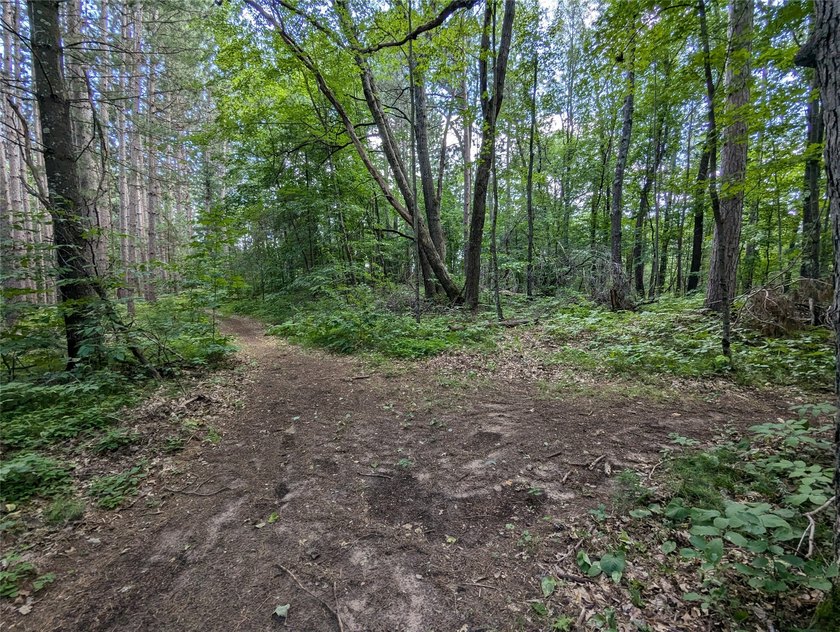 Discover your own slice of tranquility with these wooded lots - photo 5