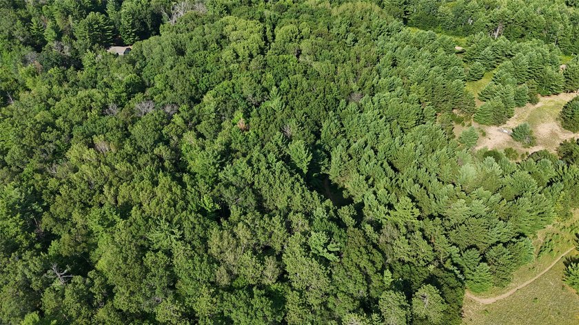 Discover your own slice of tranquility with these wooded lots - photo 10