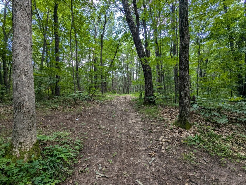 Discover your own slice of tranquility with these wooded lots - photo 2
