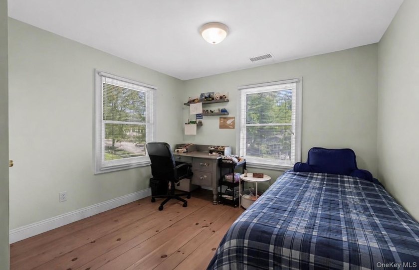 GREAT NECK VILLAGE PRIME LOCATION! Renovated And Move-In Ready - photo 23