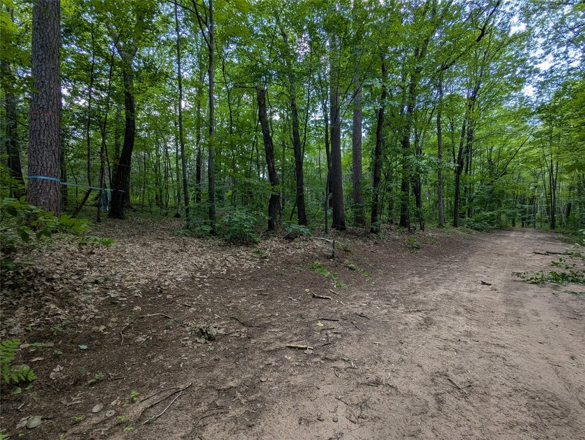 Discover your own slice of tranquility with these wooded lots - photo 3