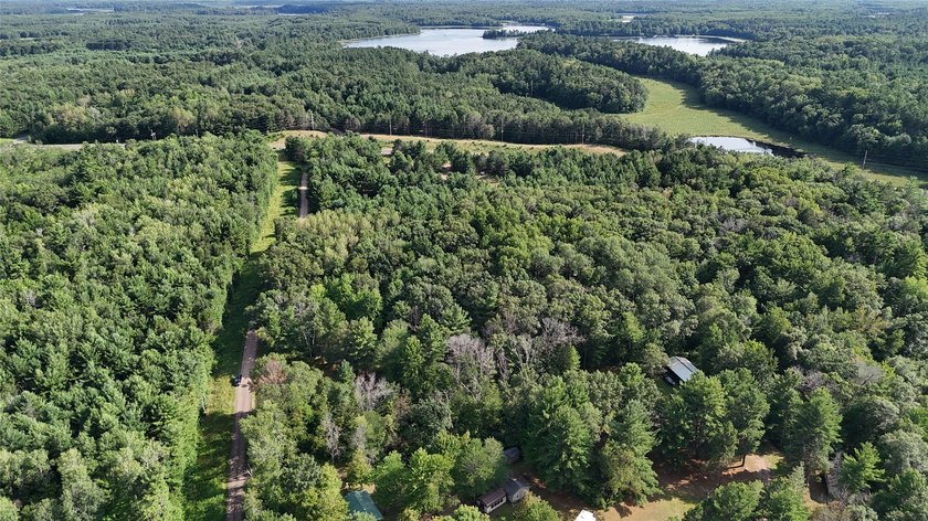 Discover your own slice of tranquility with these wooded lots - photo 6