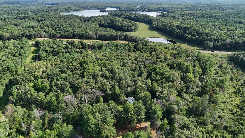 Discover your own slice of tranquility with these wooded lots - photo 8