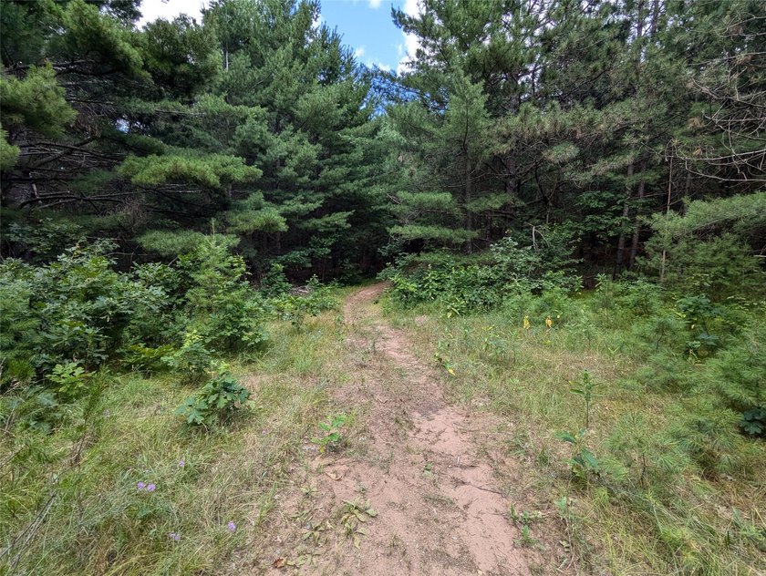 Discover your own slice of tranquility with these wooded lots - photo 2