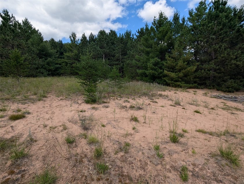 Discover your own slice of tranquility with these wooded lots - photo 4
