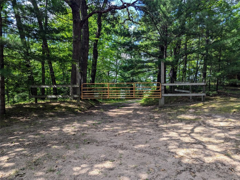 Discover your own slice of tranquility with these wooded lots - photo 10