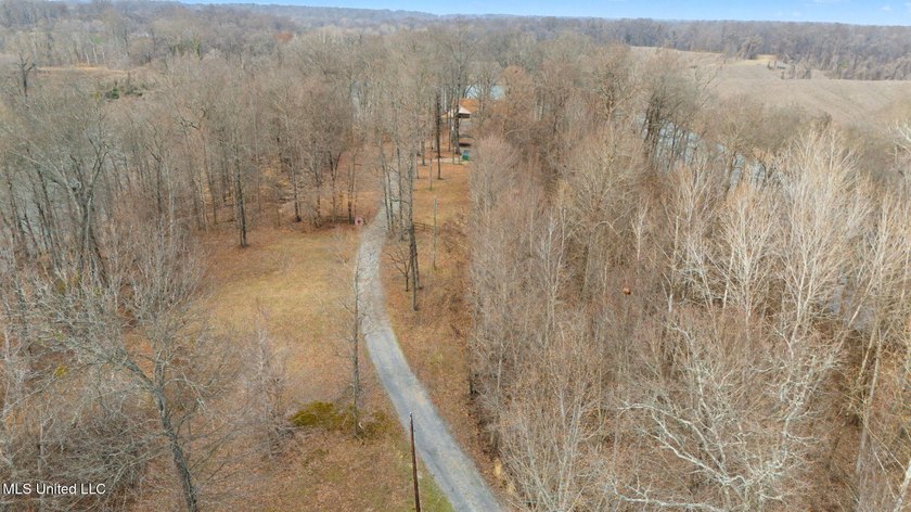 Rare opportunity to own 21+ acres in the heart of Hernando! This - photo 25