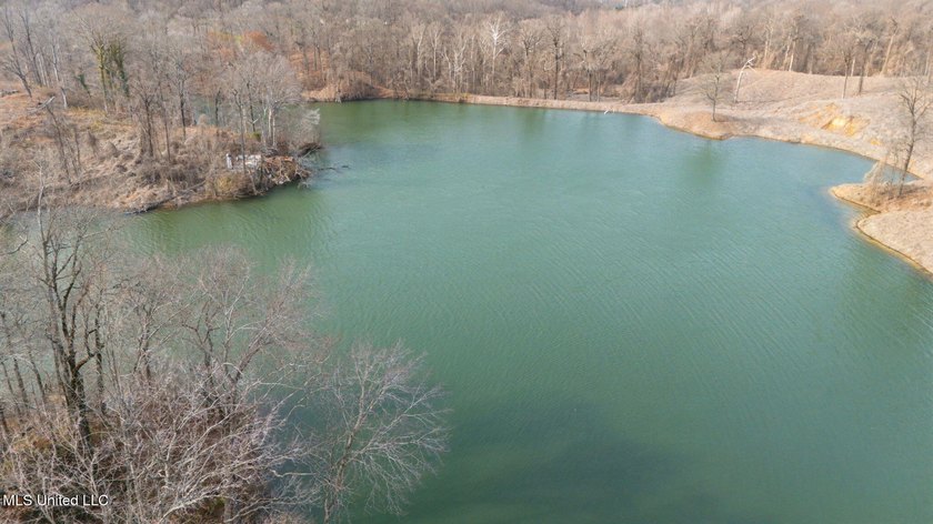 Rare opportunity to own 21+ acres in the heart of Hernando! This - photo 28