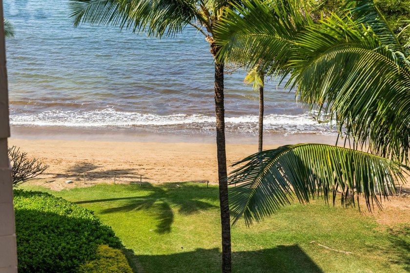 Live on the Beach! Wake up to the sound of waves in this direct - photo 22