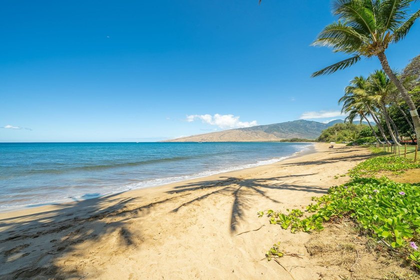 Live on the Beach! Wake up to the sound of waves in this direct - photo 40