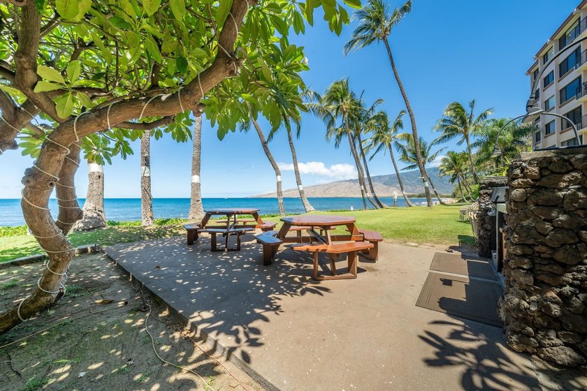 Live on the Beach! Wake up to the sound of waves in this direct - photo 42
