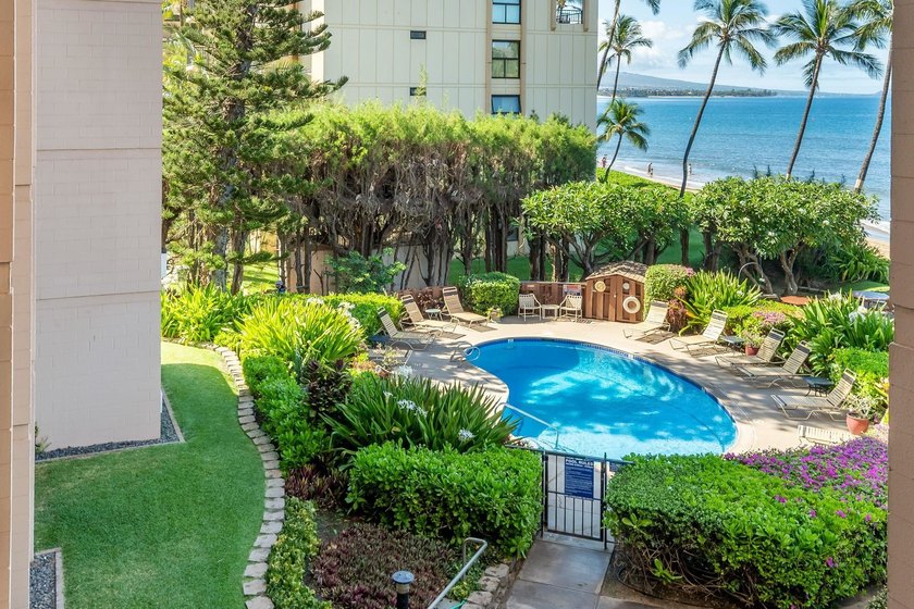 Live on the Beach! Wake up to the sound of waves in this direct - photo 43