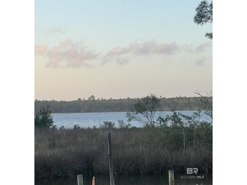 Lowest priced waterfront house in Orange Beach! This charming - photo 4