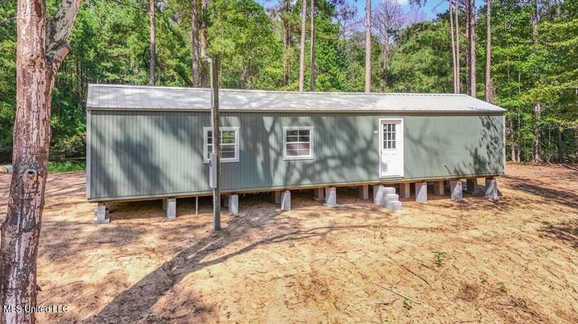 Hunting land for sale in Wilkinson County, MS bordering the - photo 2