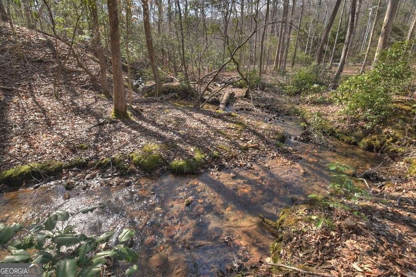 Endless Adventure Awaits where the Heart of the Cohutta - photo 14