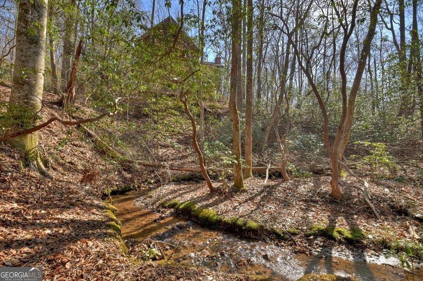 Endless Adventure Awaits where the Heart of the Cohutta - photo 17